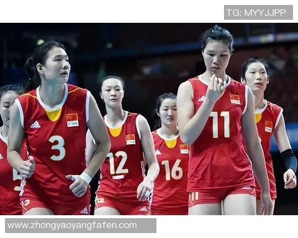 成都排球队实力强劲最新排球力量排行榜前十名揭晓