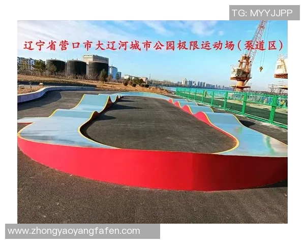 杭州滑板队在极限运动会中的战术表现分析与点评