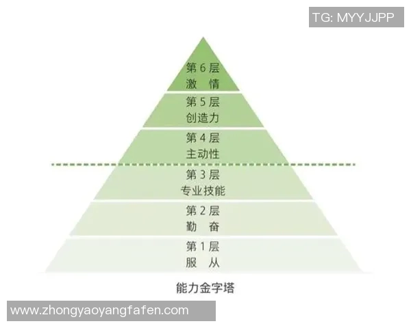 西安羽毛球队的团队协作与战术配合深度分析与探讨