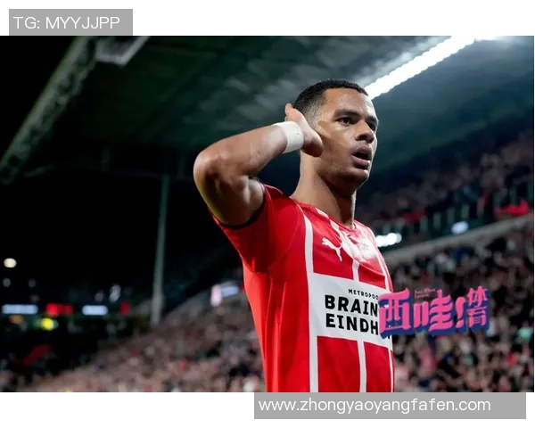 加克波：从新星崛起到足球场上的闪耀之星的成长之路