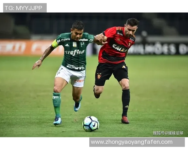 沙佩科与帕梅拉斯激战正酣谁将赢得这场精彩对决的胜利