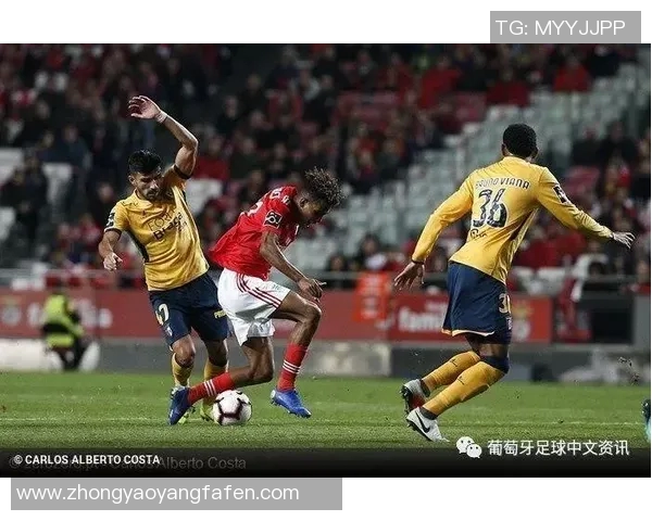 阿维斯体育迎战查维斯全力争胜激战即将上演