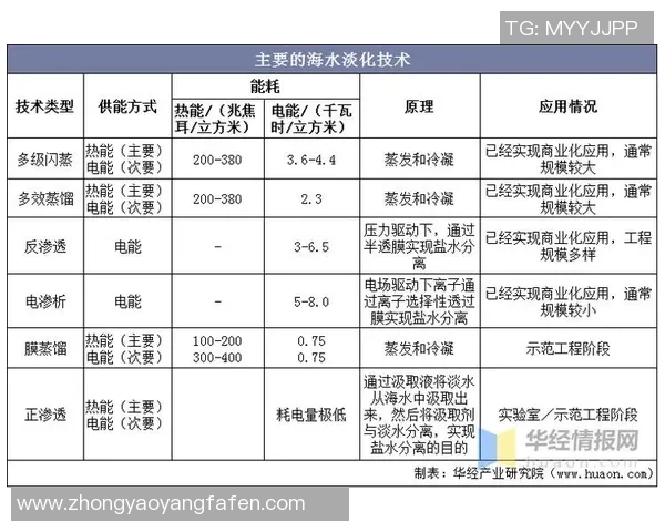 重庆足球队技术对比深度解析与未来发展趋势探讨 重庆足球队技术对比深度解析与未来发展趋势探讨