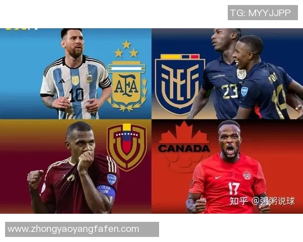 阿根廷对阵波黑新浪赛事分析及精彩瞬间回顾