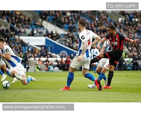 卡迪夫主场迎战布莱顿期待精彩对决双方争夺宝贵积分