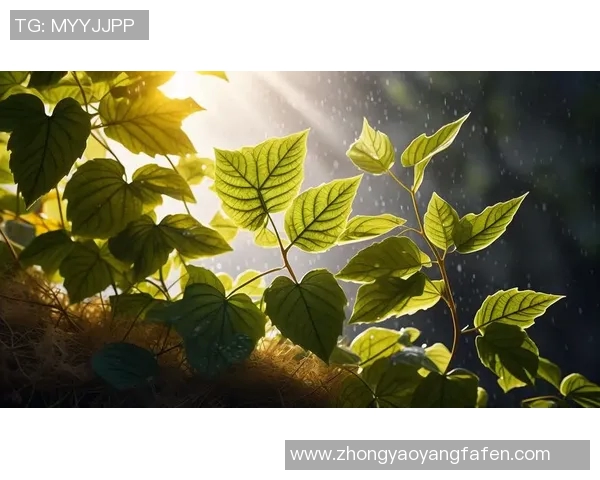 林葳:在艺术与生活之间探索自我与灵感的无限可能 林葳:在艺术与生活之间探索自我与灵感的无限可能